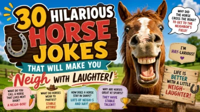 30 hilarious horse jokes with a laughing horse, farm background, and funny neigh punchlines